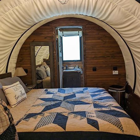 Rooterville Animal Sanctuary Melrose Экстерьер фото