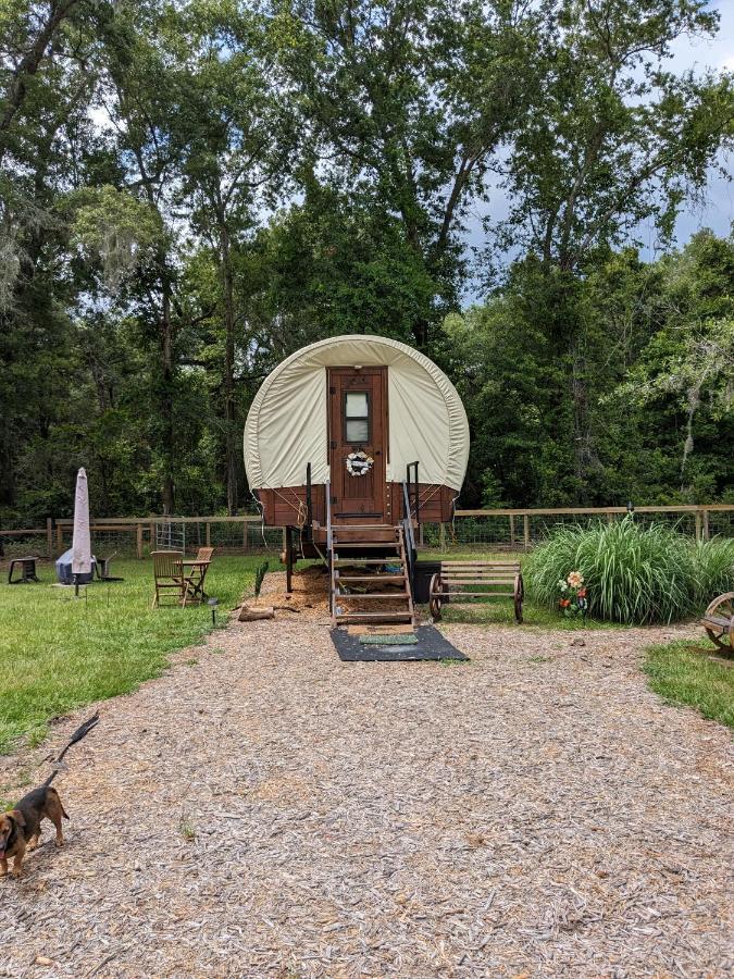 Rooterville Animal Sanctuary Melrose Экстерьер фото