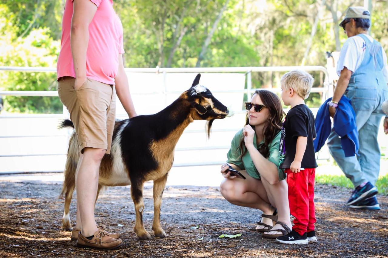 Rooterville Animal Sanctuary Melrose Экстерьер фото