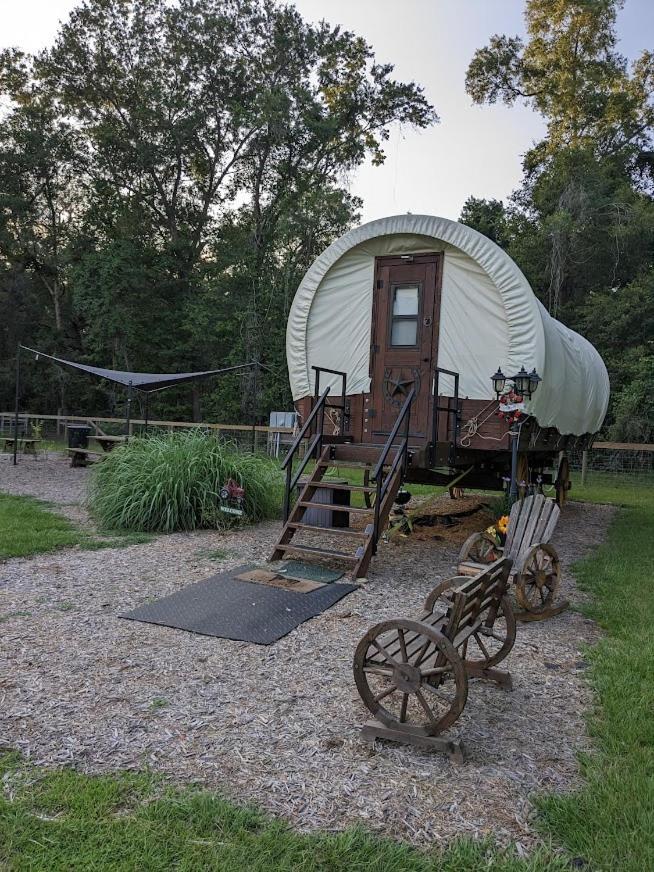 Rooterville Animal Sanctuary Melrose Экстерьер фото