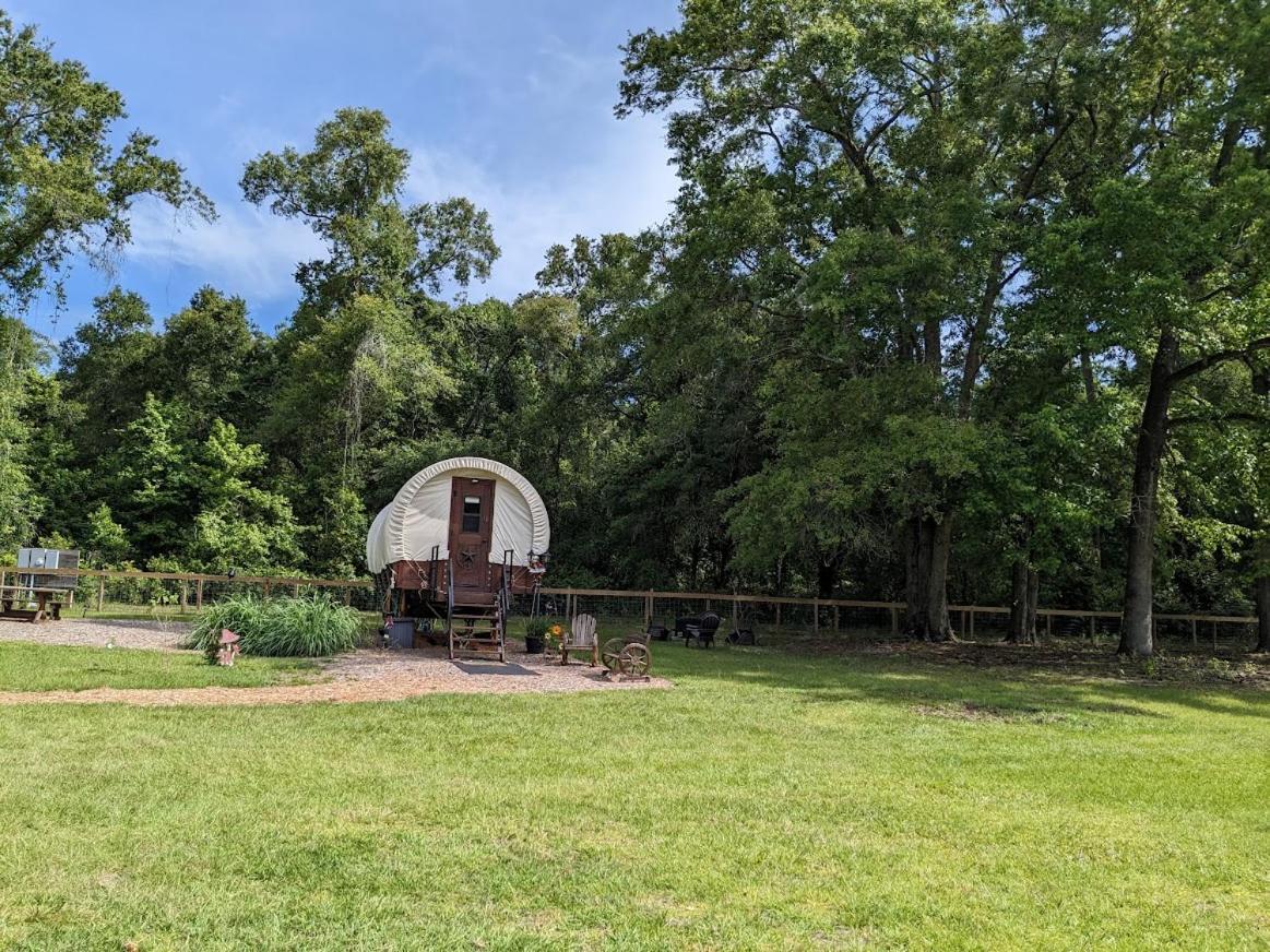 Rooterville Animal Sanctuary Melrose Экстерьер фото