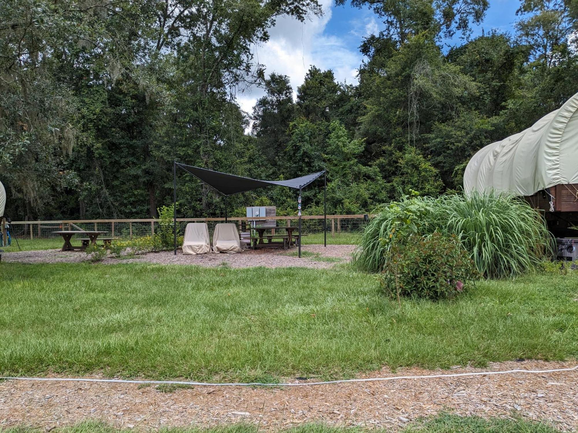 Rooterville Animal Sanctuary Melrose Экстерьер фото