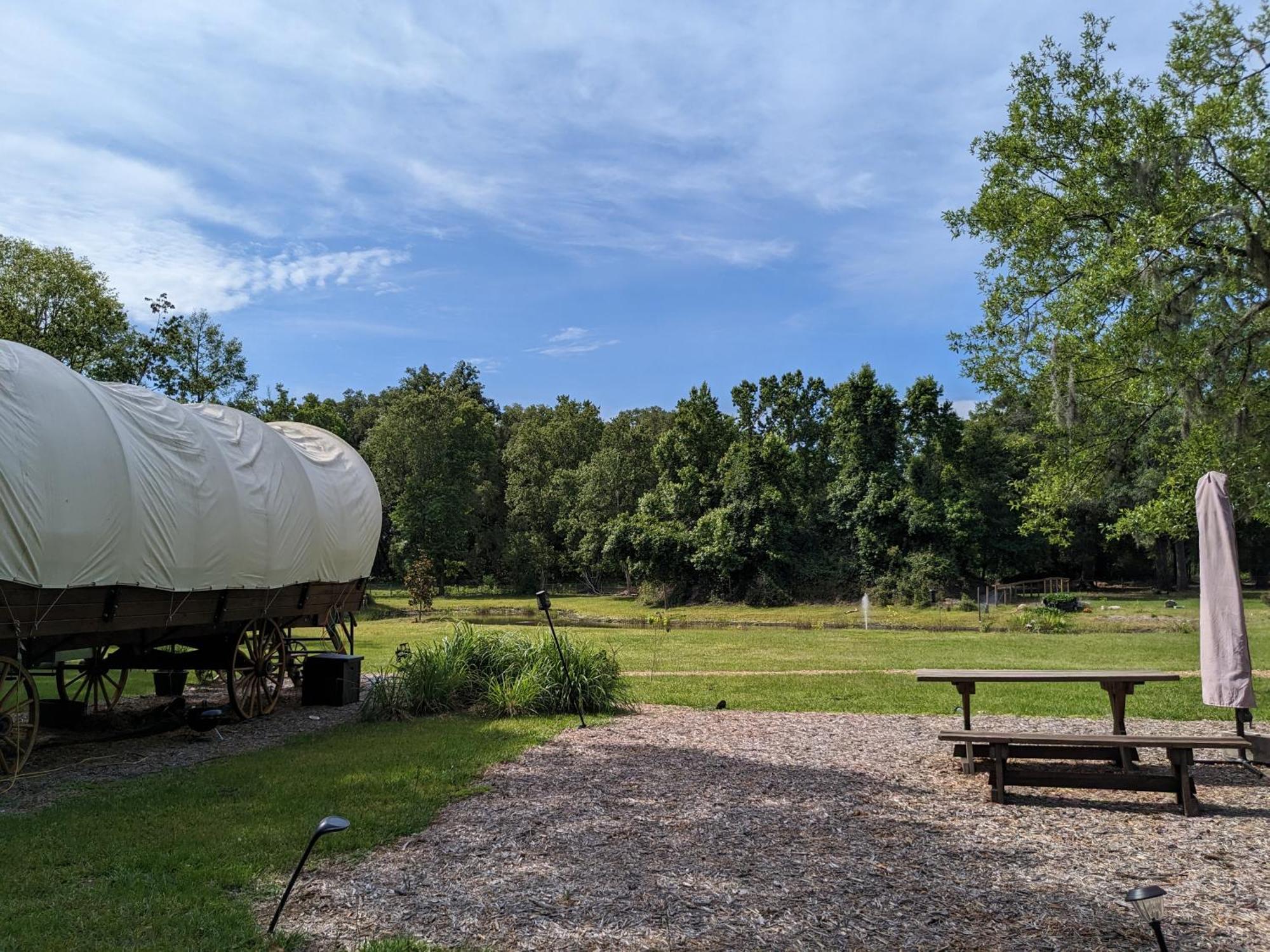 Rooterville Animal Sanctuary Melrose Экстерьер фото
