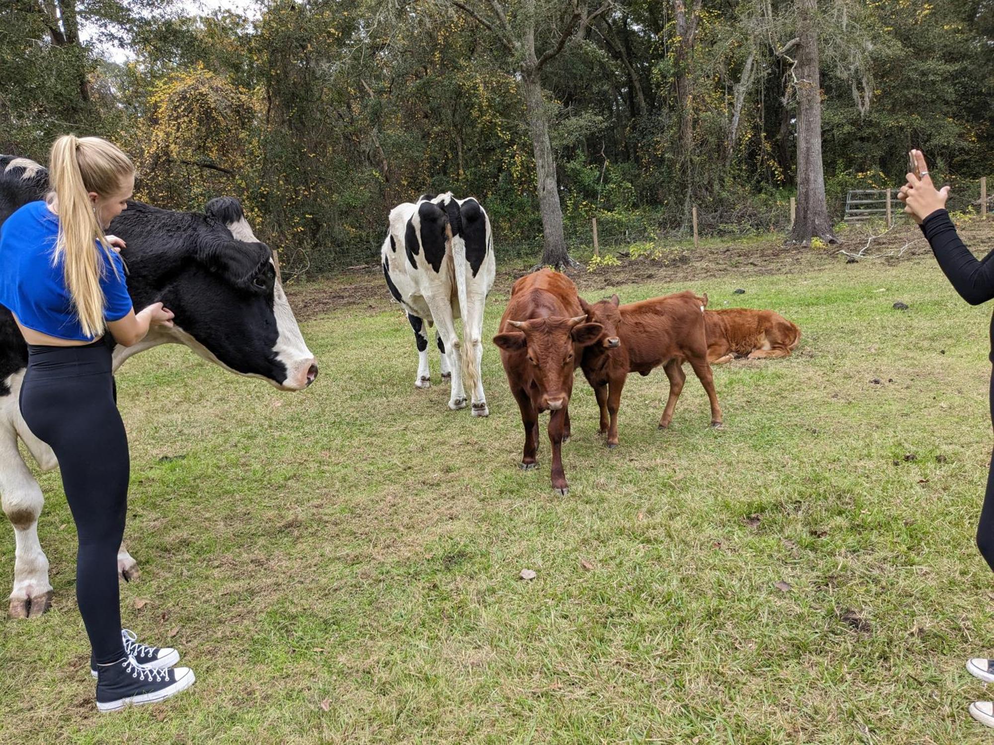 Rooterville Animal Sanctuary Melrose Экстерьер фото